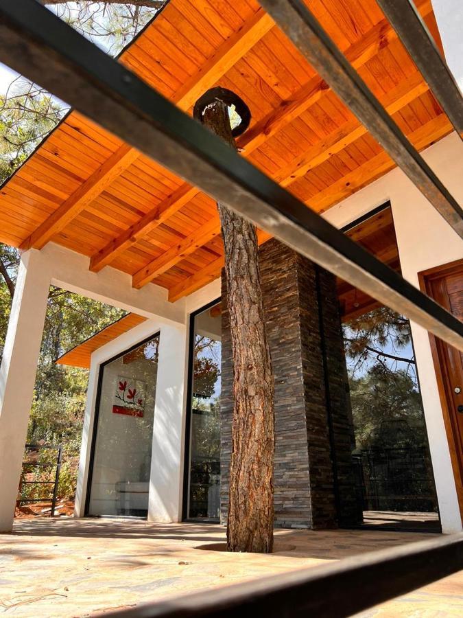 Cabana "Alexa", En El Corazon Del Bosque De Mazamitla Exterior foto